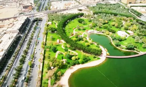 സൗദിയിലുടനീളം ആയിരം കോടി വൃക്ഷങ്ങൾ നട്ടുപിടിപ്പിക്കും; റോഡ് മാപ്പ് പ്രഖ്യാപിച്ചു