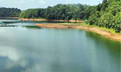 ചളി നിറഞ്ഞു: പെരുവണ്ണാമൂഴി അണക്കെട്ടിലെ സംഭരണശേഷി കുറയുന്നു