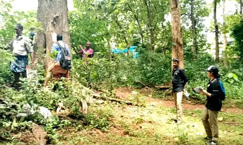 ഗ്രീ​ൻ ഫീ​ൽ​ഡ് ഹൈ​വേ വ​ന​ഭൂ​മി​യി​ലെ മ​ര​ങ്ങ​ൾ തി​ട്ട​പ്പെ​ടു​ത്ത​ൽ തു​ട​ങ്ങി