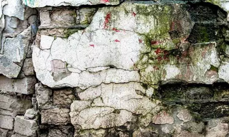 കുലുക്കിക്കുത്ത്