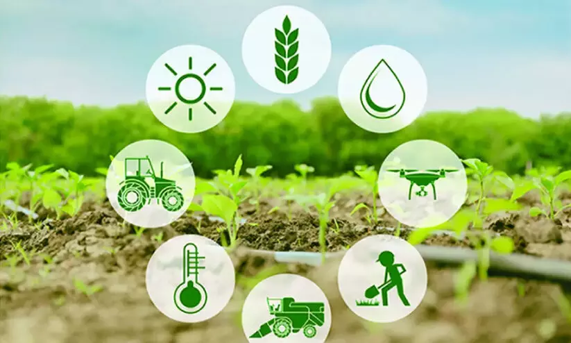 കാ​ർ​ഷി​ക/​അ​നു​ബ​ന്ധ ബി​രു​ദം: കൗ​ൺ​സ​ലി​ങ് തു​ട​ങ്ങി