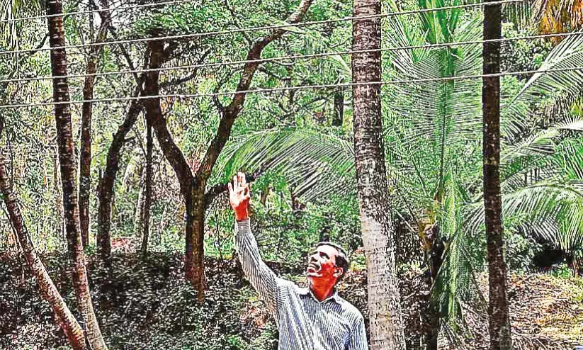 അ​പ​ക​ടം ത​ല​ക്ക് തൊ​ട്ടു​മു​ക​ളി​ൽ...