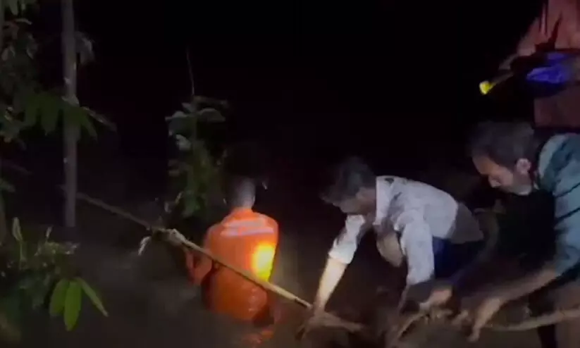 rescue kollam forest rescue kollam forest