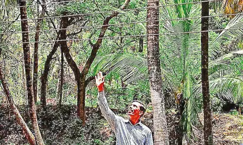 അ​പ​ക​ടം ത​ല​ക്ക് തൊ​ട്ടു​മു​ക​ളി​ൽ...