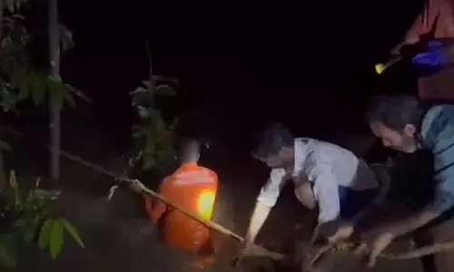 rescue kollam forest rescue kollam forest