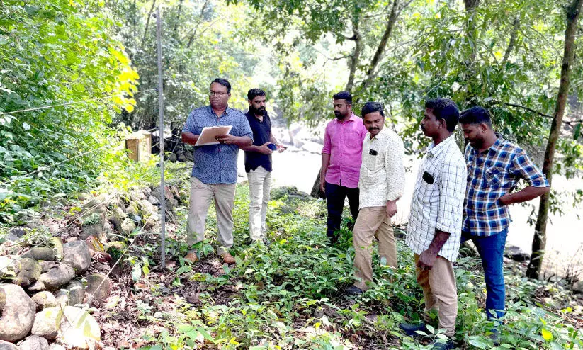 wild elephant menace wild elephant menace