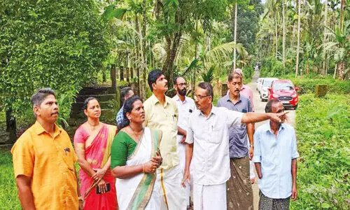 പ്ര​കൃ​തി​ക്ഷോ​ഭം, കീ​ട​ബാ​ധ: ദു​രി​ത​മൊ​ഴി​യാ​തെ മ​ല​യോ​രം