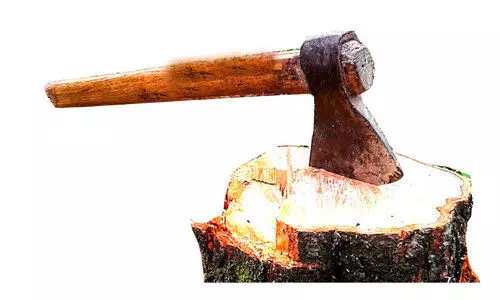 ഊട്ടുപാറയിൽ അനധികൃതമായി മരം മുറിച്ചുകടത്തി