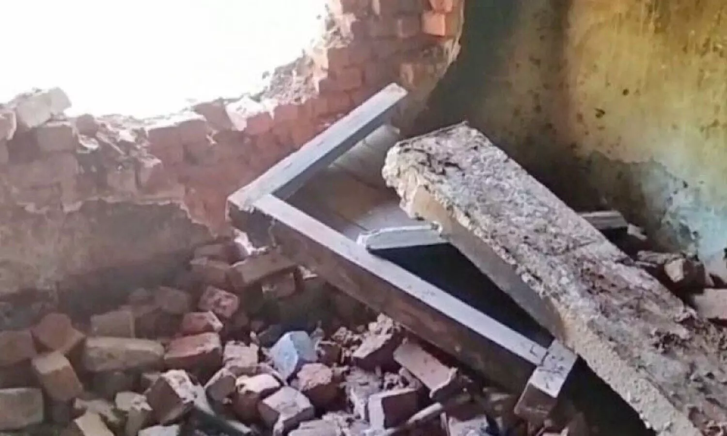 wild elephant menace