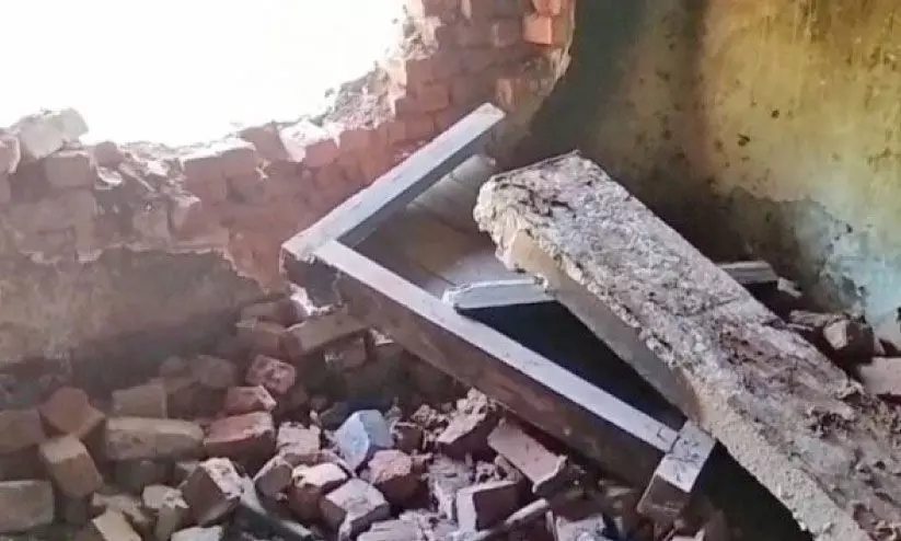 wild elephant menace