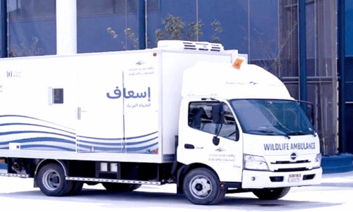 സ​മു​ദ്ര​ജീ​വി സം​ര​ക്ഷ​ണ​ത്തി​ന്​ ത​യാ​റാ​ക്കി​യ ആം​ബു​ല​ൻ​സ്