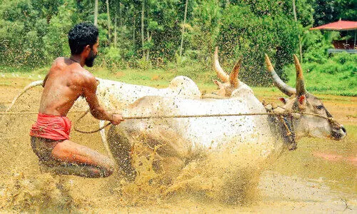 chirakara ela chirakara ela