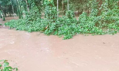 ഊരുകുഴി തോട് കൈയേറ്റം ഒഴിപ്പിക്കൽ വൈകുന്നു; മഴ പെയ്താൽ വെള്ളപ്പൊക്ക ഭീഷണി