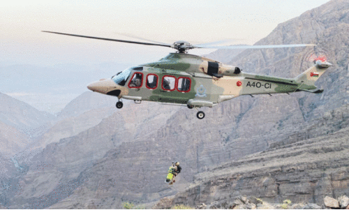 മ​ല​യി​ൽ​നി​ന്ന്​ വീ​ണ്​ വ​നി​ത​ക്ക്​ പ​രി​ക്ക്