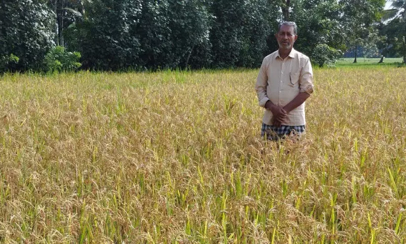 ibrahim kutty ibrahim kutty