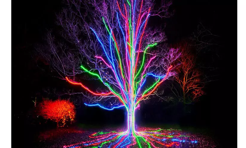 കേരളീയം മെഗാ ഓണ്ലൈന് ക്വിസില് എല്ലാ പ്രായത്തിലുള്ളവര്ക്കും പങ്കെടുക്കാം കേരളീയം മെഗാ ഓണ്ലൈന് ക്വിസില് എല്ലാ പ്രായത്തിലുള്ളവര്ക്കും പങ്കെടുക്കാം