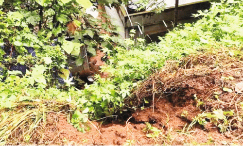 പ​രി​യാ​പു​രത്ത് ലൈ​ഫ് മി​ഷ​ൻ വീ​ടി​ന് മു​ക​ളി​ലേ​ക്ക് മ​ണ്ണി​ടി​ഞ്ഞു