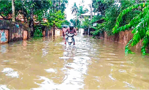 കനത്ത മഴയിൽ കായംകുളം മുങ്ങി