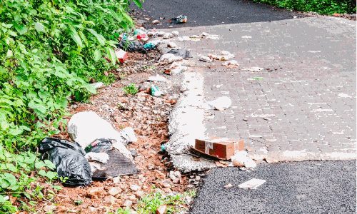 ചുങ്കപ്പാറ-ആലപ്രക്കാട് റോഡിൽ മാലിന്യം തള്ളുന്നു