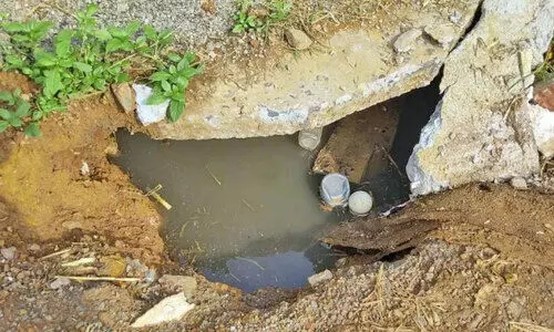 waste dumping waste dumping