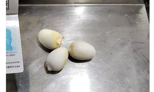 Gold worth 43 lakh was seized in Karipur