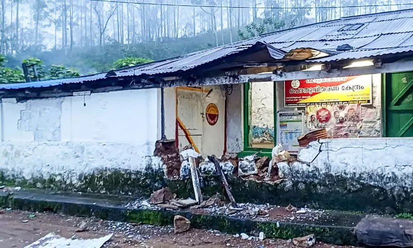 wild elephant menace