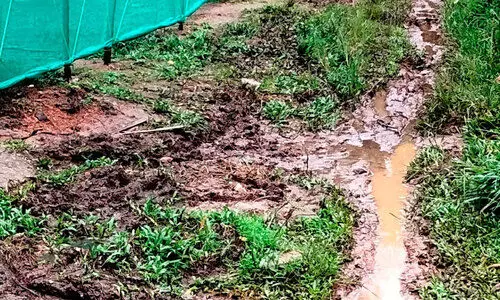 യാ​ത്ര ദു​രി​ത​മാ​യ ശൂ​ര​നാ​ട് തെ​ക്ക് ഇ​ര​വി​ച്ചി​റ പ​ന​ന്ത​റ കോ​ള​നി​യി​ലേ​ക്കു​ള്ള റോ​ഡ്