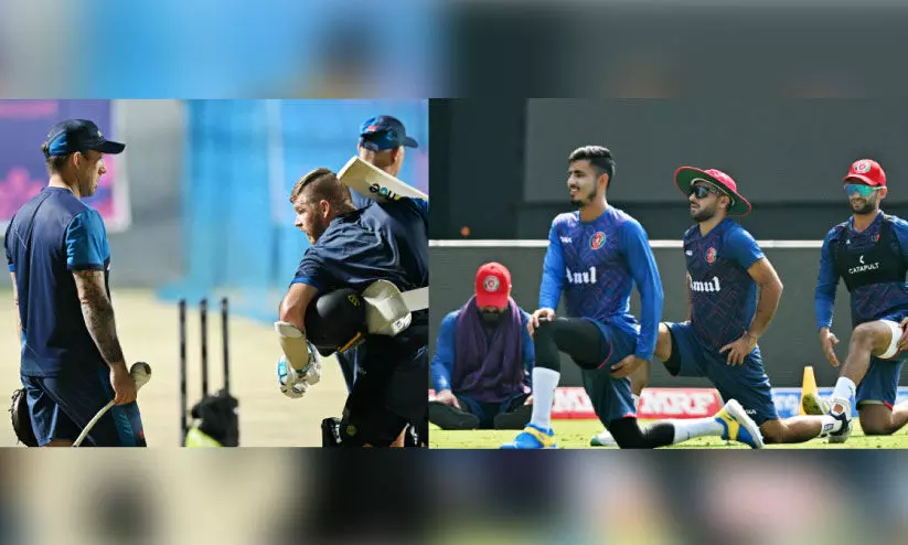 cricket world cup 2023