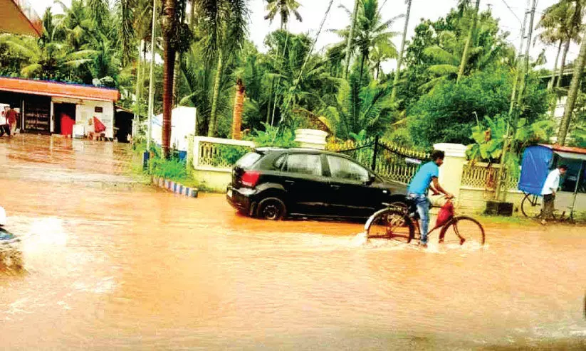 waterlogging waterlogging