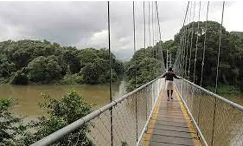 മ​ങ്ങാ​ട്ടു​പു​ലം-​ഹാ​ജി​യാ​ർ​പ​ള്ളി തൂ​ക്കു​പാ​ലം; മ​ഴ​യി​ൽ നി​ർ​മാ​ണം വൈ​കു​ന്നു