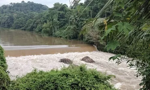 thenamala dam thenamala dam
