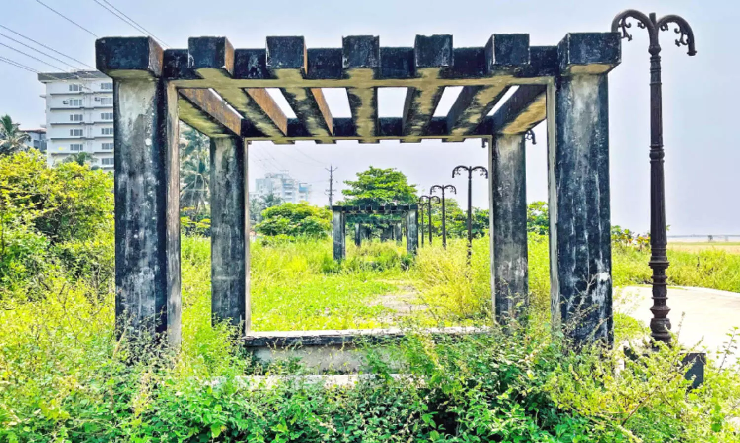 The seats on the banks of Konnad are covered with forest
