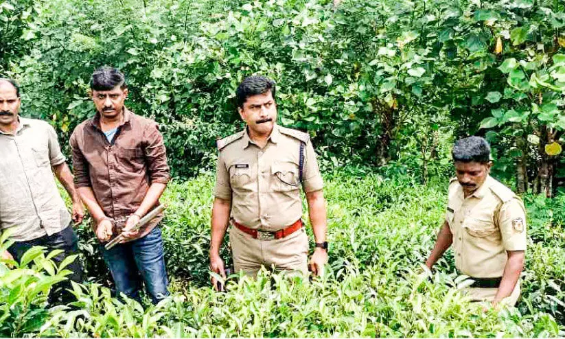 യുവാവിനെ വീട്ടിൽകയറി ആക്രമിച്ച സംഭവം: ആയുധങ്ങൾ കണ്ടെടുത്തു