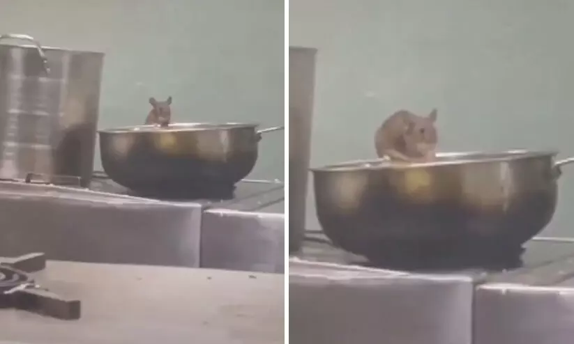 ട്രെയിൻ പാൻട്രിയിൽ സുഭിക്ഷമായി ഉണ്ണുന്ന എലി; വീഡിയോ വൈറൽ, ഗൗരവമായി കാണുന്നുവെന്ന് റെയിൽവേ ട്രെയിൻ പാൻട്രിയിൽ സുഭിക്ഷമായി ഉണ്ണുന്ന എലി; വീഡിയോ വൈറൽ, ഗൗരവമായി കാണുന്നുവെന്ന് റെയിൽവേ