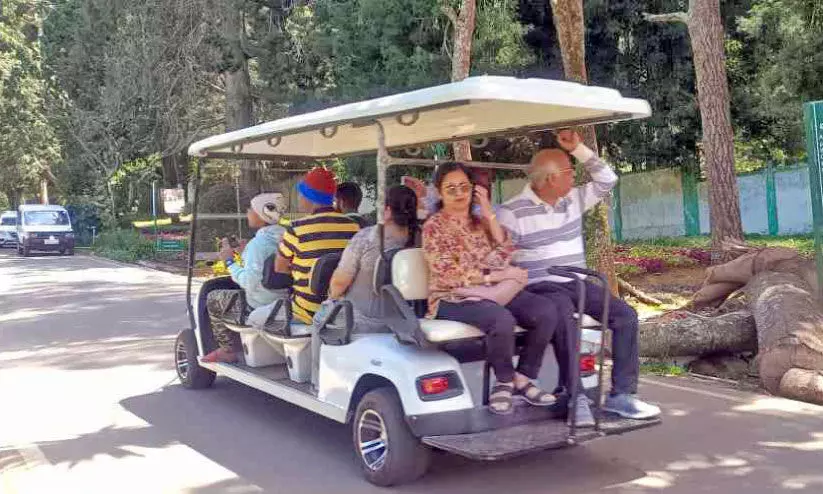 ooty botanical garden ooty botanical garden