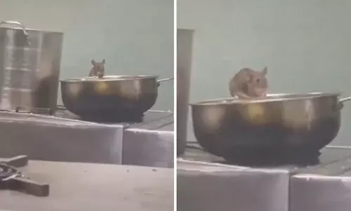 ട്രെയിൻ പാൻട്രിയിൽ സുഭിക്ഷമായി ഉണ്ണുന്ന എലി; വീഡിയോ വൈറൽ, ഗൗരവമായി കാണുന്നുവെന്ന് റെയിൽവേ ട്രെയിൻ പാൻട്രിയിൽ സുഭിക്ഷമായി ഉണ്ണുന്ന എലി; വീഡിയോ വൈറൽ, ഗൗരവമായി കാണുന്നുവെന്ന് റെയിൽവേ