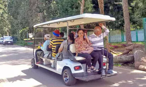 ooty botanical garden