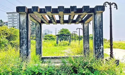The seats on the banks of Konnad are covered with forest The seats on the banks of Konnad are covered with forest