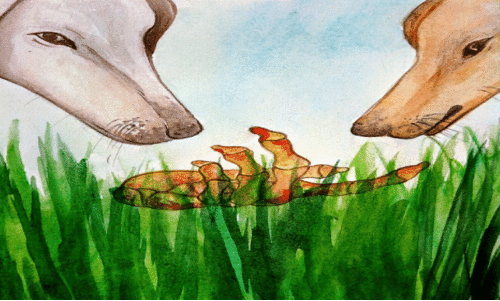 ഭോ(ഗ)ജനം ഭോ(ഗ)ജനം