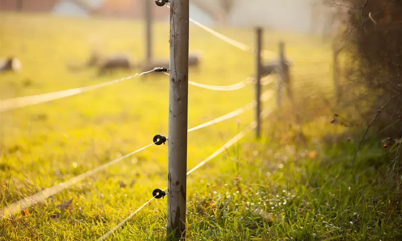 eletric fence