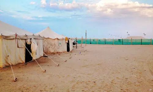 വസന്തകാലമെത്തുന്നു; ഇനി മരുഭൂമിയിൽ രാപാർക്കാം