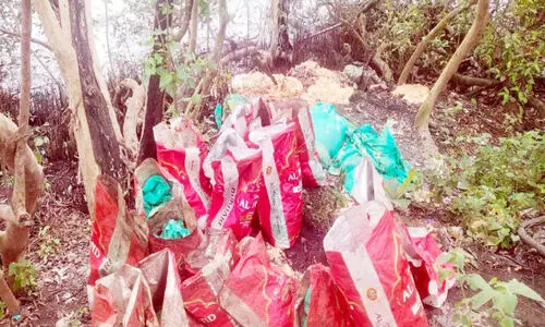 Kallai River Kallai River