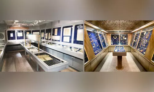 മ്യൂ​സി​യ​ത്തി​ലെ പ്ര​ദ​ർ​ശ​ന​ങ്ങ​ൾ