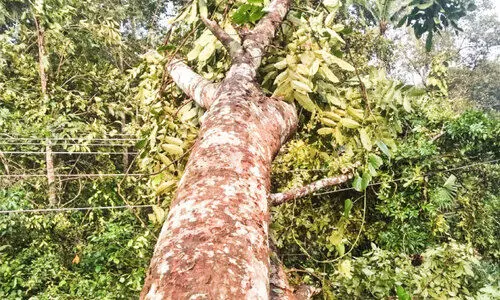 electricity cut electricity cut