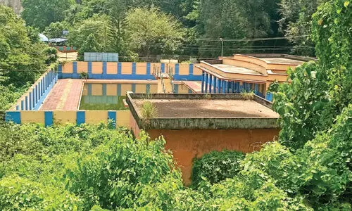 Peachy Dam swimming pool under forest cover Peachy Dam swimming pool under forest cover