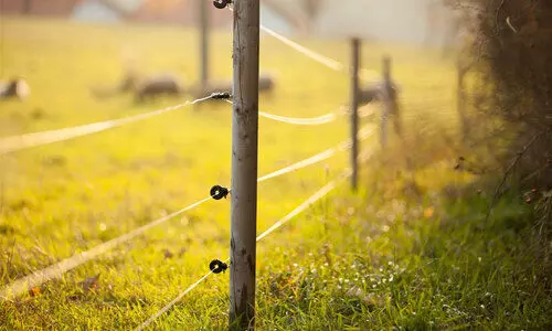 eletric fence