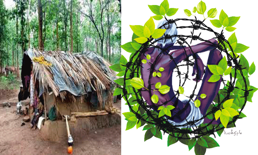 എന്തും ചെയ്യാല്ലോ...  ആദിവാസികളല്ലേ