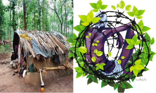 എന്തും ചെയ്യാല്ലോ...  ആദിവാസികളല്ലേ