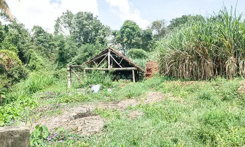 marayoor jaggery marayoor jaggery