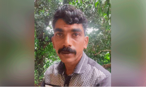 വയോധികയെ പീഡിപ്പിച്ച് സ്വർണം കവർന്ന കേസ്​; പ്രതിക്ക് 30 വർഷം തടവും 1.4 ലക്ഷം പിഴയും